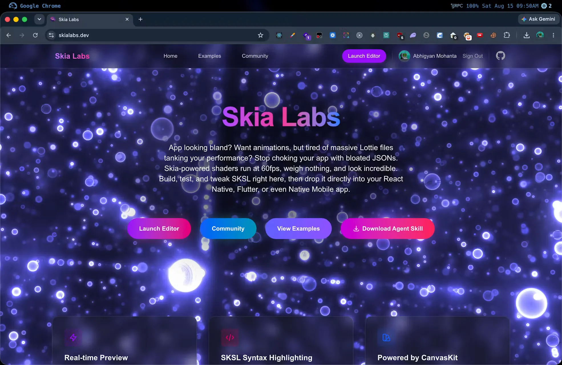 Skia Labs Homepage